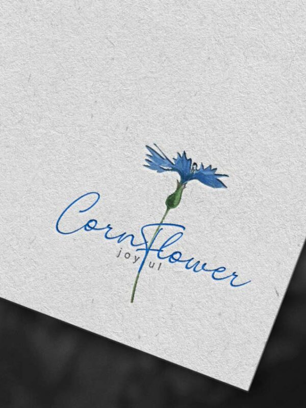 our project - logo design